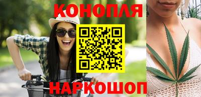 стафф Краснознаменск